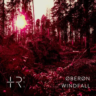 Windfall by Øberøn