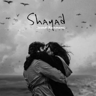 Shayad by Javad Rahmani