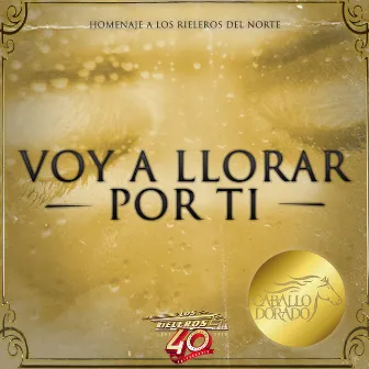 Voy a Llorar por Ti by Caballo Dorado