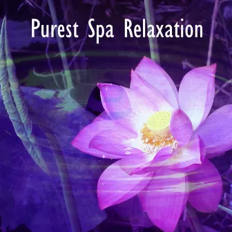 Purest Spa Relaxation by Serenity Spa: Music Relaxation