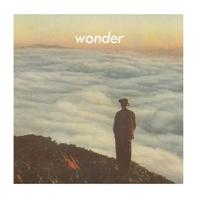 wonder