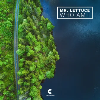 Who Am I by Mr. Lettuce