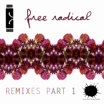 Free Radical Remixes Part 1 by Cravo E Canela