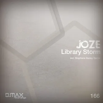 Library Storm by Joze Linecker