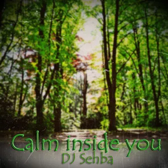 Calm inside you by DJ Sehba