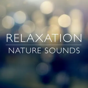 Relaxation Nature Sounds by Unknown Artist