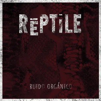 Ruido Orgánico by Rēptile