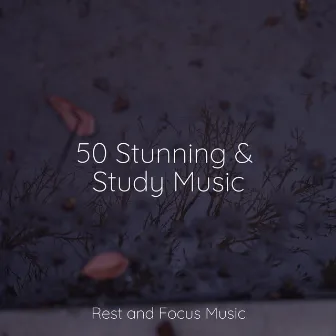 50 Stunning & Study Music by Meditation Music Club