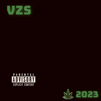 2023 by VZS