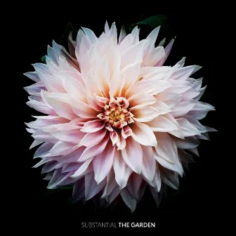 The Garden by Substantial