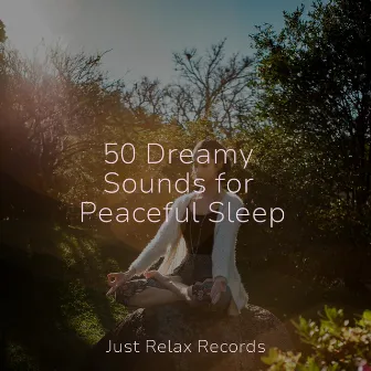 50 Dreamy Sounds for Peaceful Sleep by Powerthoughts Meditation Club