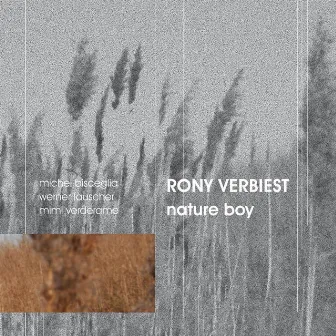 Nature Boy by Rony Verbiest