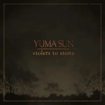 Violets to Stone by Yuma Sun