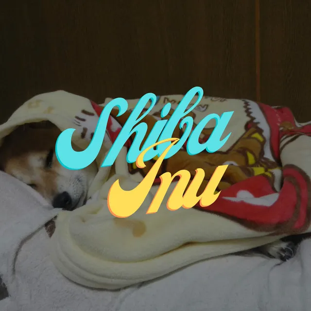 Shibainu