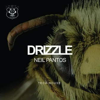 Drizzle by Neil Pantos