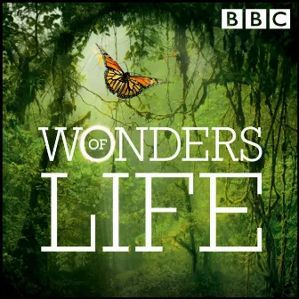 Wonders of Life (Original Television Soundtrack) by David Schweitzer