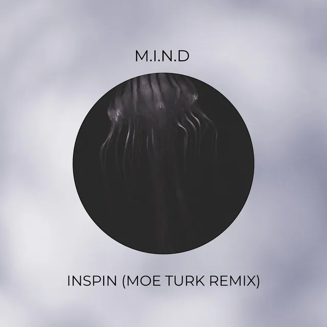 Inspin - Moe Turk Remix