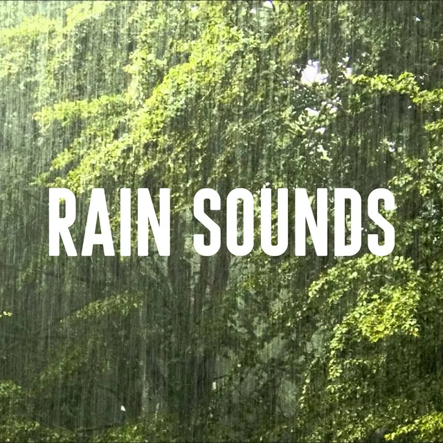 Quiet Rain Sounds