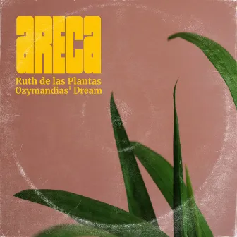 Areca by Ruth de las Plantas