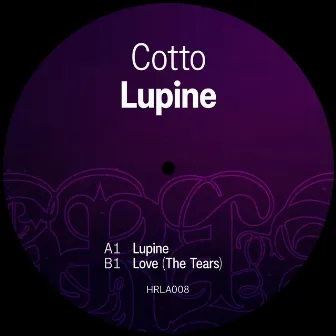 Lupine by Cotto