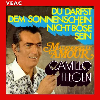 Du darfst dem Sonnenschein nicht böse sein by Camillo Felgen