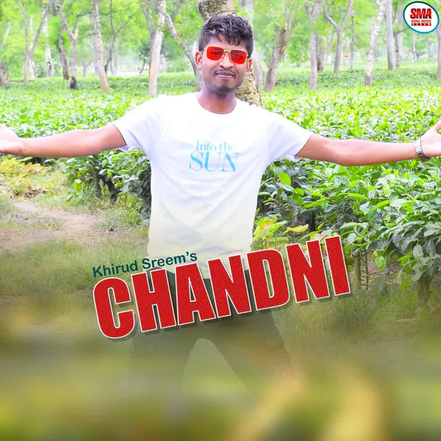 Chandni