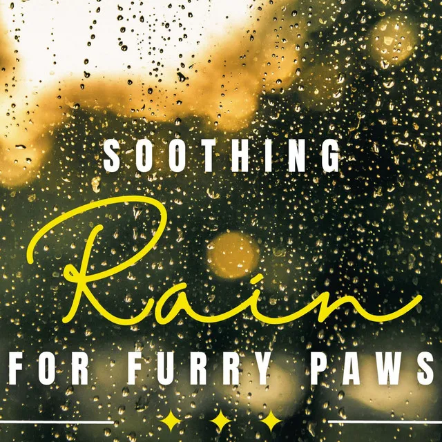 Calming Rain for Paws and Whiskers