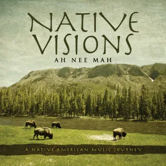 Native Visions: A Native American Music Journey by AH*NEE*MAH