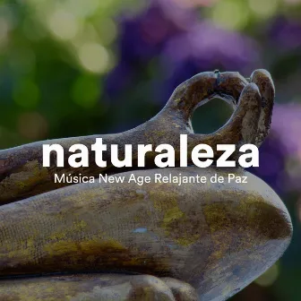 Naturaleza - Música New Age Relajante de Paz by Unknown Artist