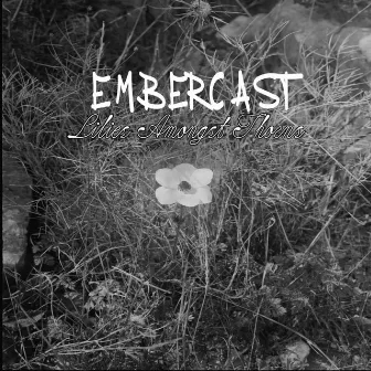 Lilies Amongst Thorns (Radio Edit) by Embercast