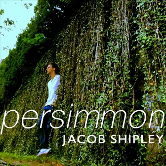 Persimmon by Jacob Shipley