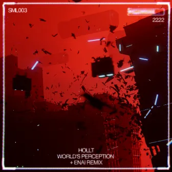 World's Perception by Hollt