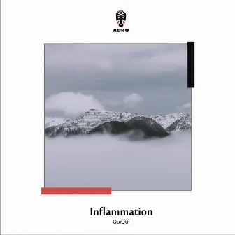 Inflammation by QuiQui