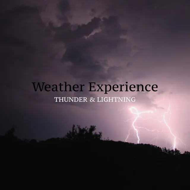 Weather Experience