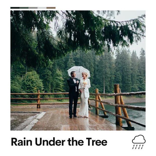 Rain Under the Tree