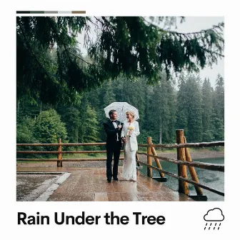 Rain Under the Tree by Relaxing Rain