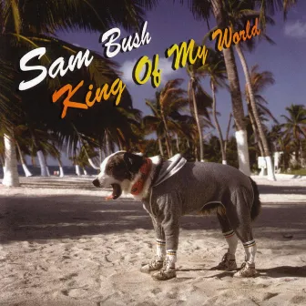 King Of My World by Sam Bush