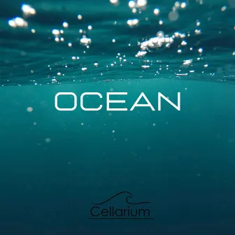 Ocean by Cellarium