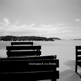 Soulscapes & Jazz Breaks by Lady Paradox