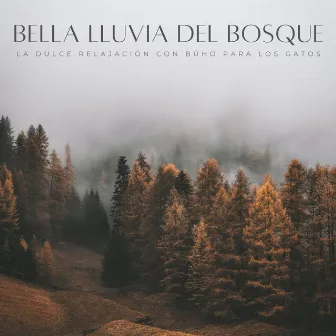 Bella Lluvia Del Bosque: La Dulce Relajación Con Búho Para Los Gatos by Sonidos naturales del bosque