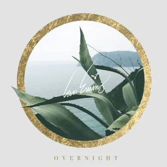 Overnight by 