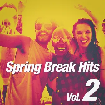 Spring Break Hits, Vol. 2 by Spring Break Party Hits