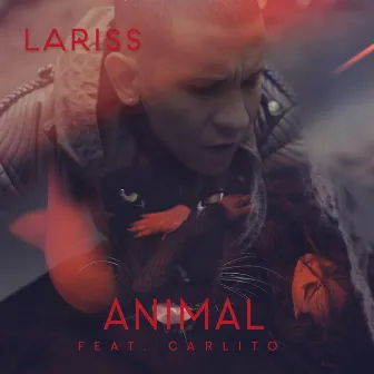 Animal by Lariss