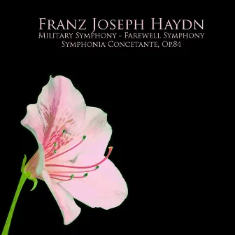 Franz Joseph Haydn: Military Symphony by Vienna Radio Orchestra