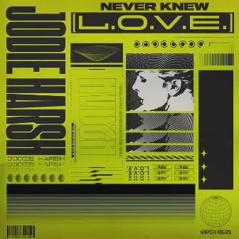 Never Knew (L.O.V.E.) by Jodie Harsh