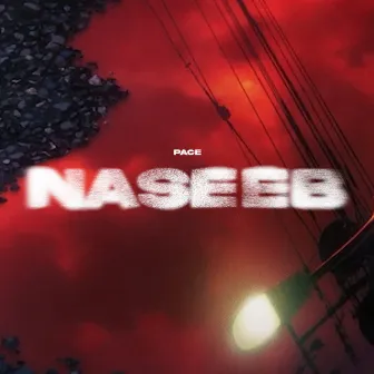 Naseeb by Wellfed