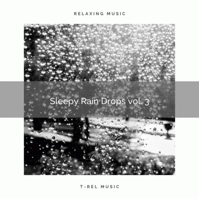 Calming Rain Noises for Instant Chill-out pt. 8