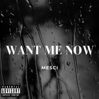 Want Me Now by Mesci