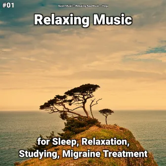 #01 Relaxing Music for Sleep, Relaxation, Studying, Migraine Treatment by Quiet Music