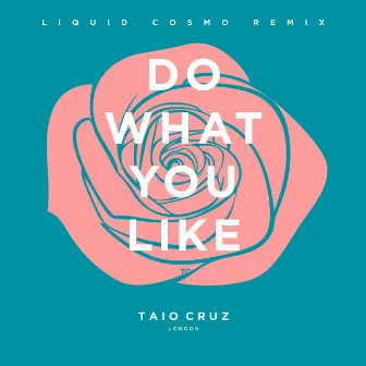 Do What You Like (Liquid Cosmo Remix) [Radio Edit] by Liquid Cosmo